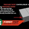 Diamond Products First-Cut 6" Early Entry Concrete Saw 4.8HP Honda CC148HXL-EE6 Walk-Behind 32739